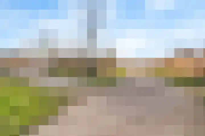 Dammersbeek 19 Nijkerk thumbnail 63
