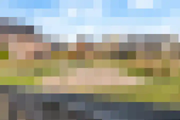 Dammersbeek 19 Nijkerk thumbnail 64