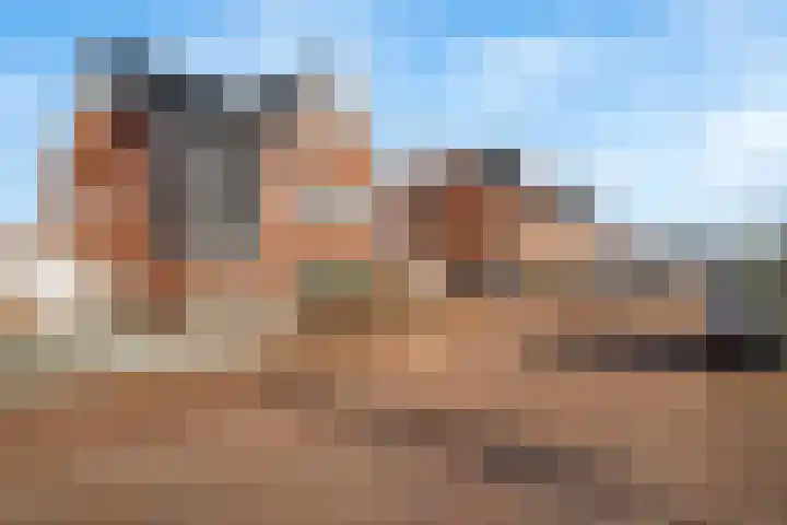Dammersbeek 19 Nijkerk thumbnail 7
