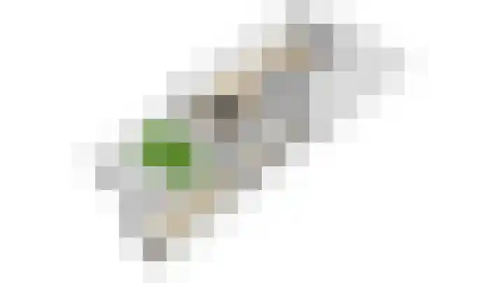 Dammersbeek 19 Nijkerk thumbnail 76