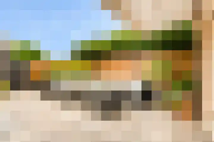 Dammersboog 126 Velserbroek thumbnail 28