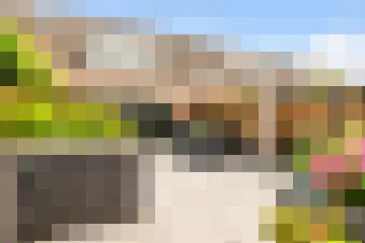Dammersboog 126 Velserbroek thumbnail 30