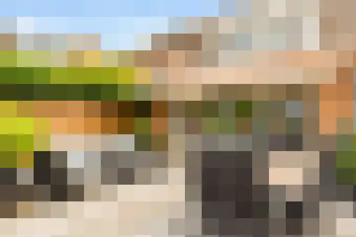 Dammersboog 126 Velserbroek thumbnail 31