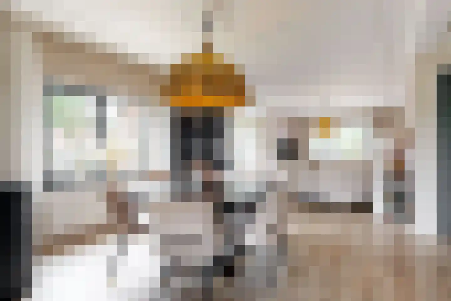 Dammersweg 15 Velserbroek thumbnail 10