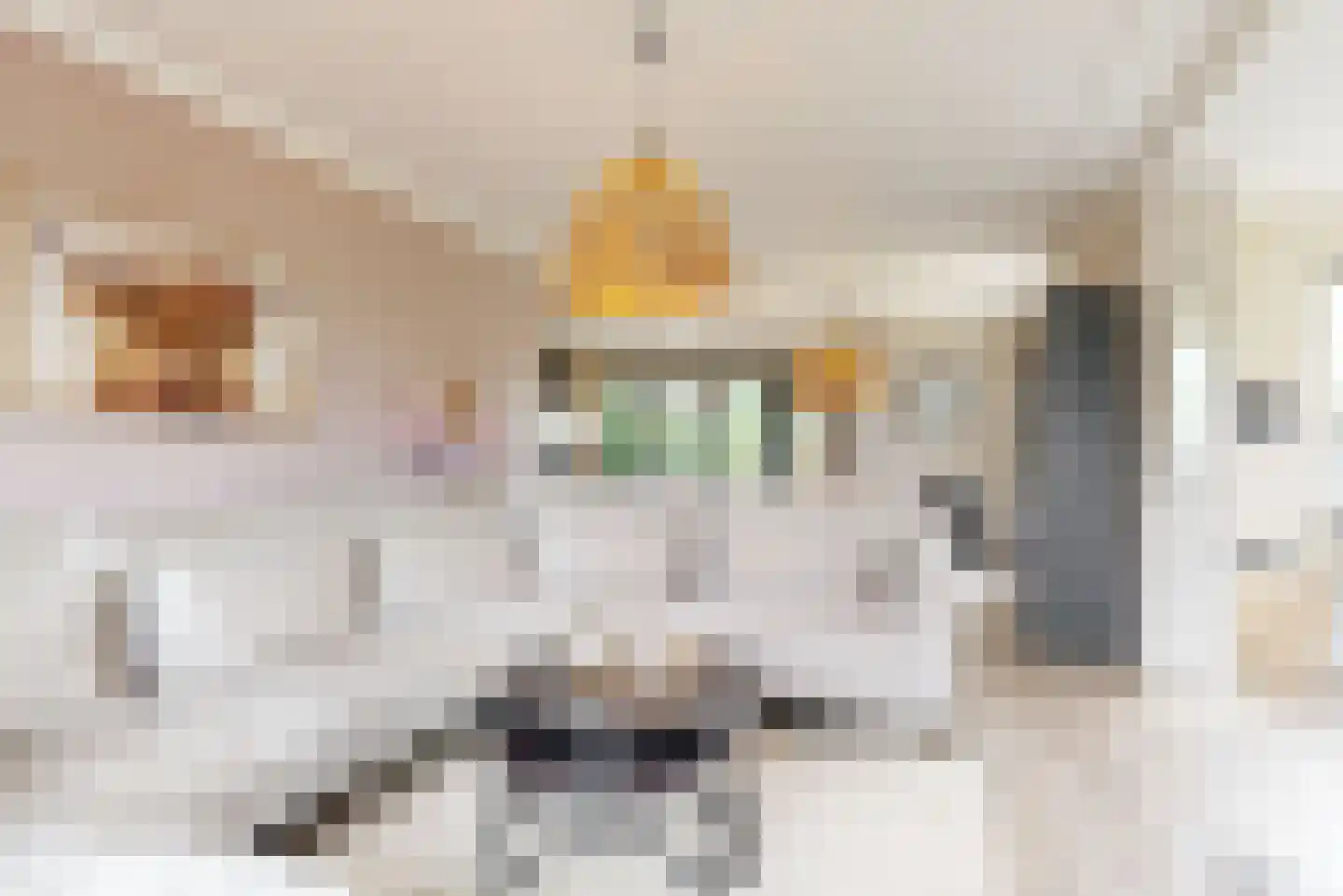 Dammersweg 15 Velserbroek thumbnail 13