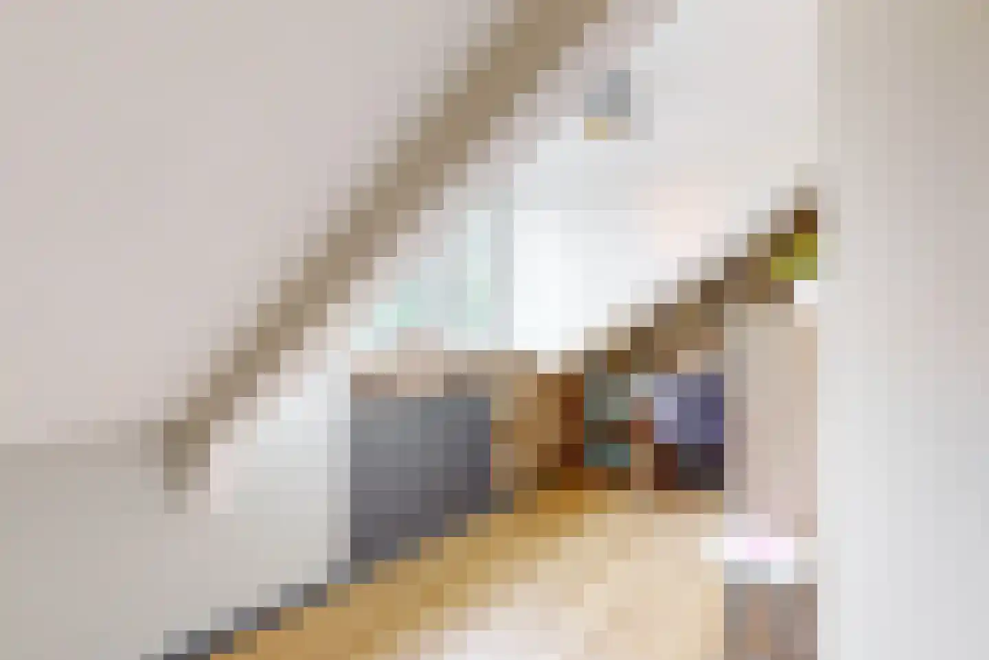 Dammersweg 15 Velserbroek thumbnail 27