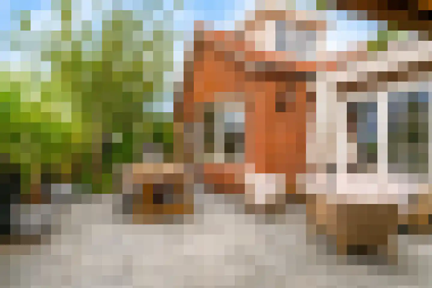 Dammersweg 15 Velserbroek thumbnail 4