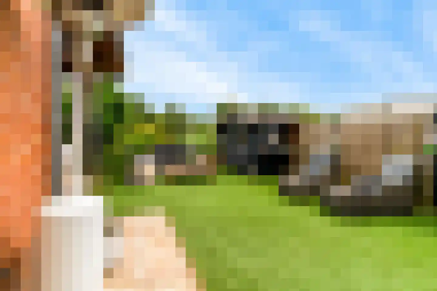 Dammersweg 15 Velserbroek thumbnail 41