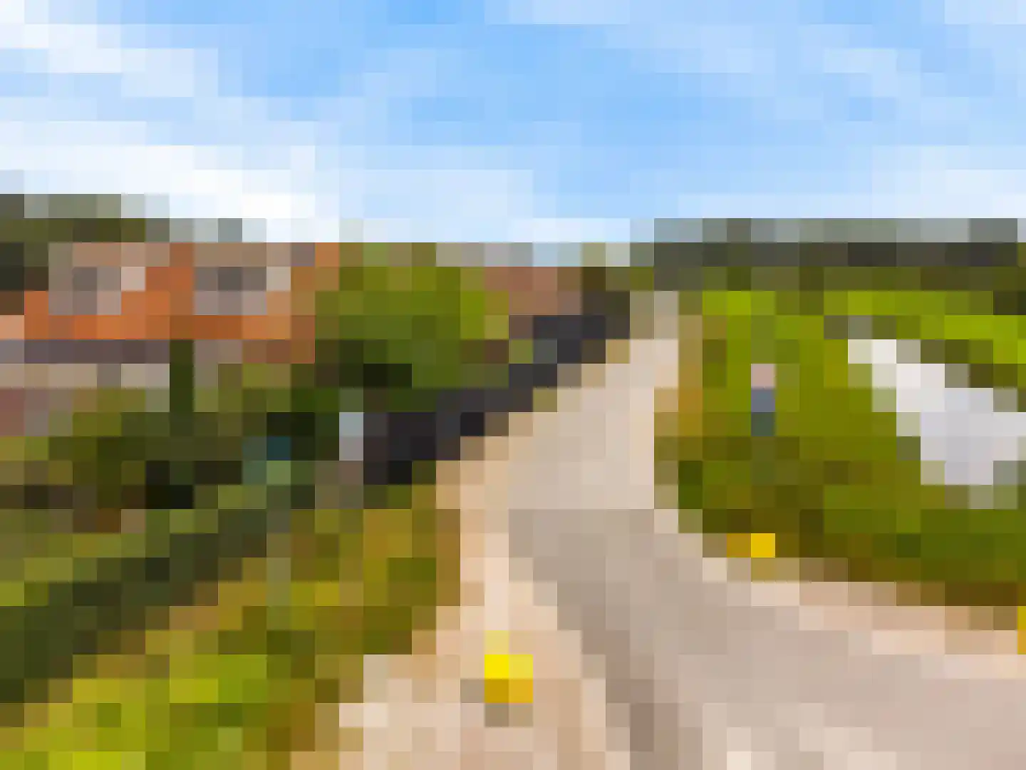 Dammersweg 15 Velserbroek thumbnail 7