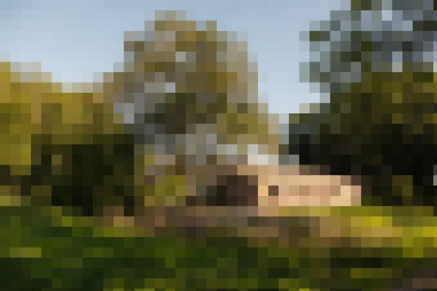 Dammerweg 10 Weesp thumbnail 32