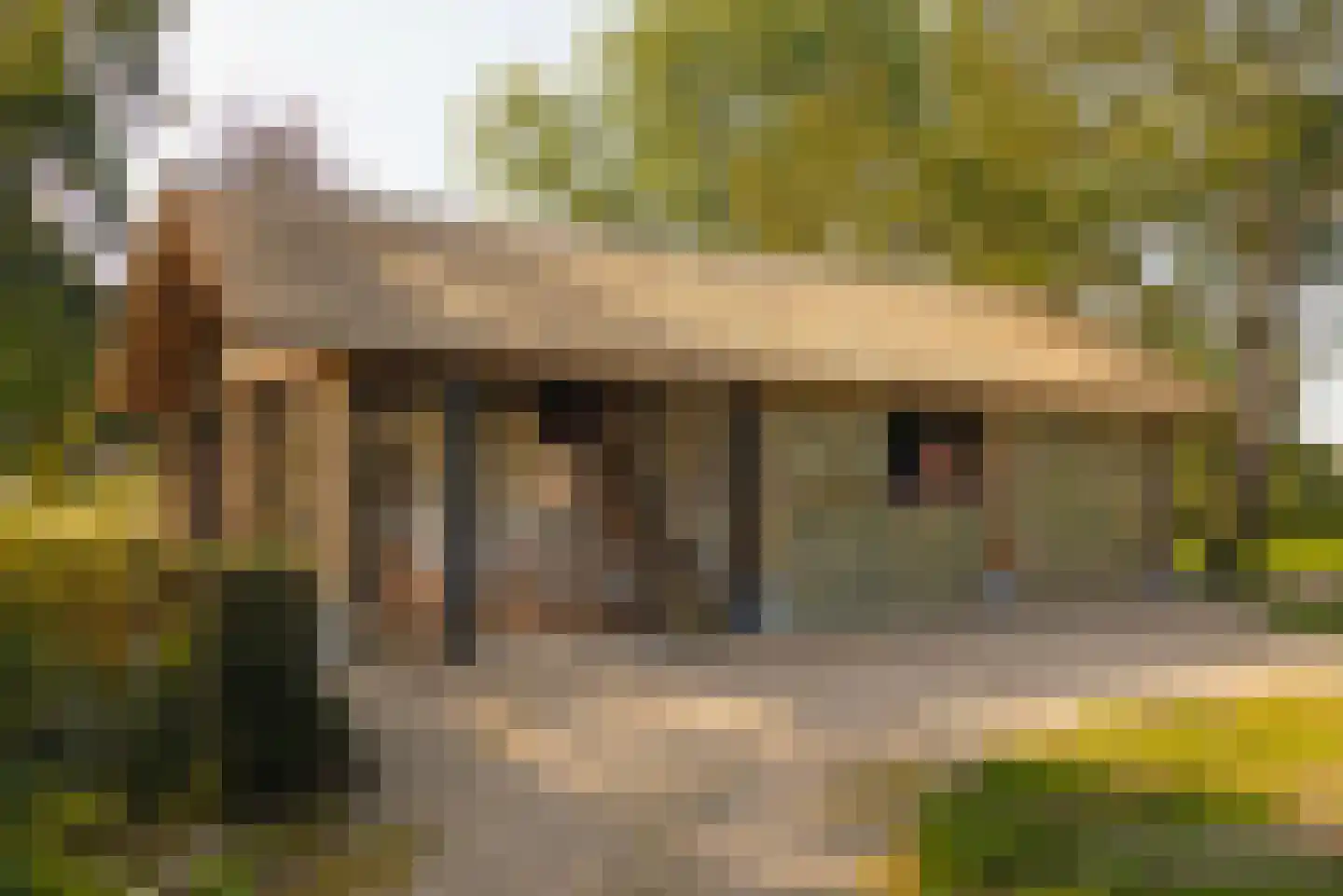 Dammerweg 10 Weesp thumbnail 34