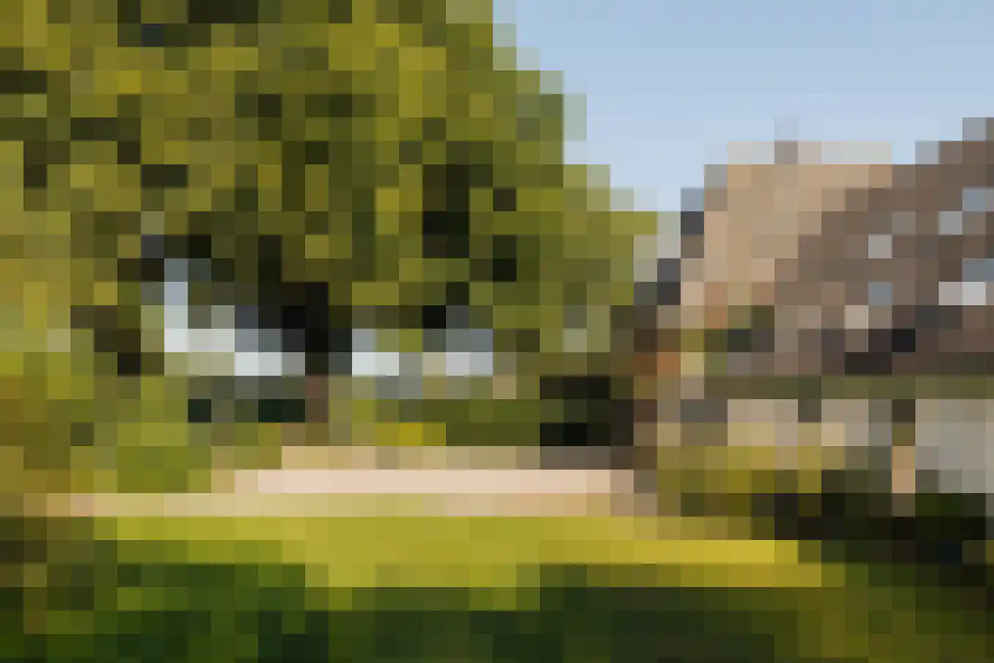 Dammerweg 10 Weesp thumbnail 37