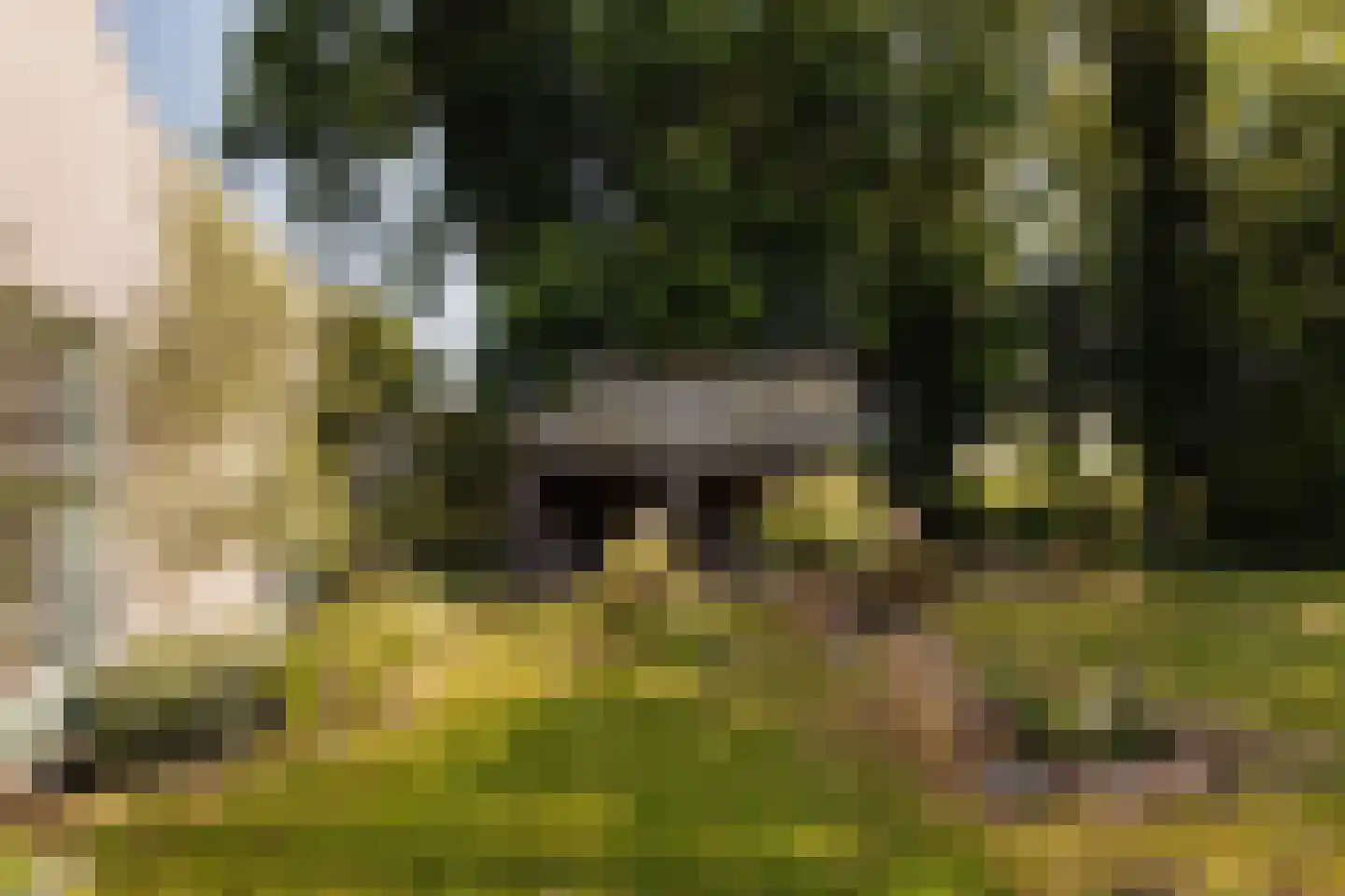 Dammerweg 10 Weesp thumbnail 38