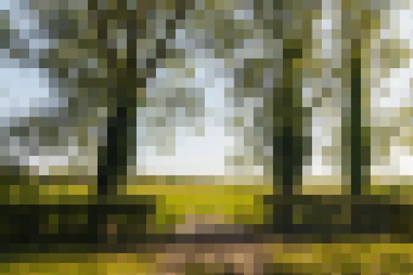 Dammerweg 10 Weesp thumbnail 42