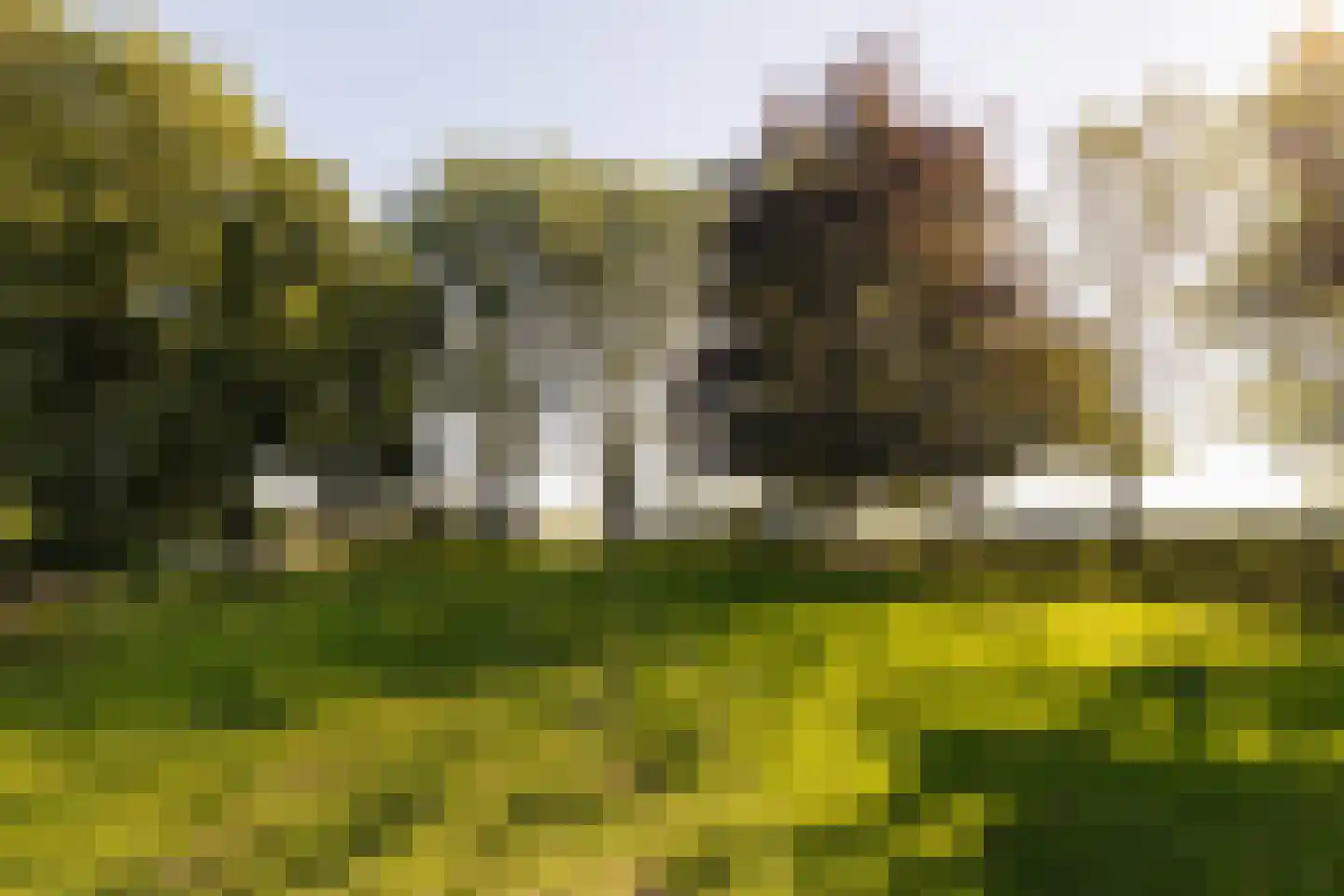 Dammerweg 10 Weesp thumbnail 43