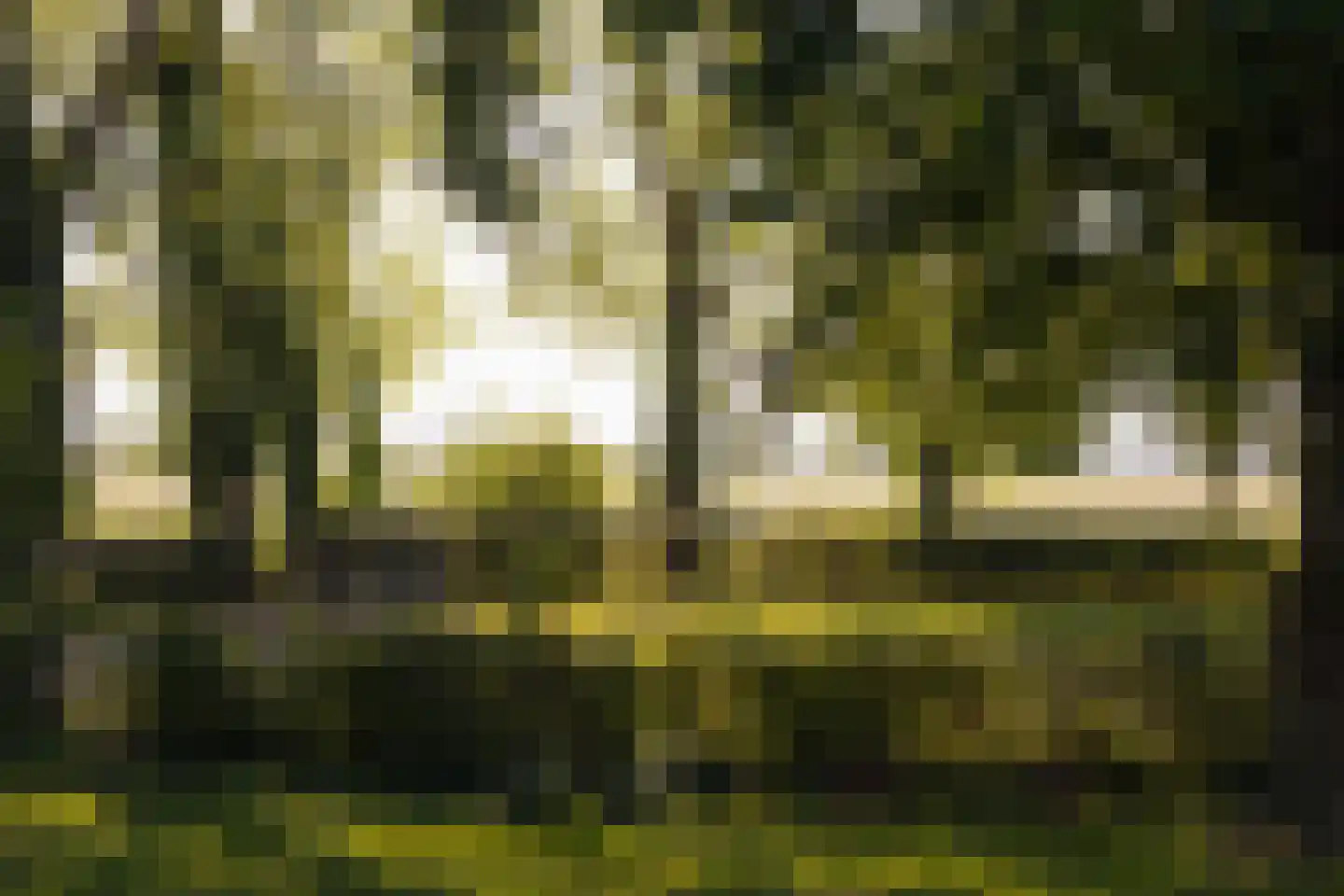 Dammerweg 10 Weesp thumbnail 44