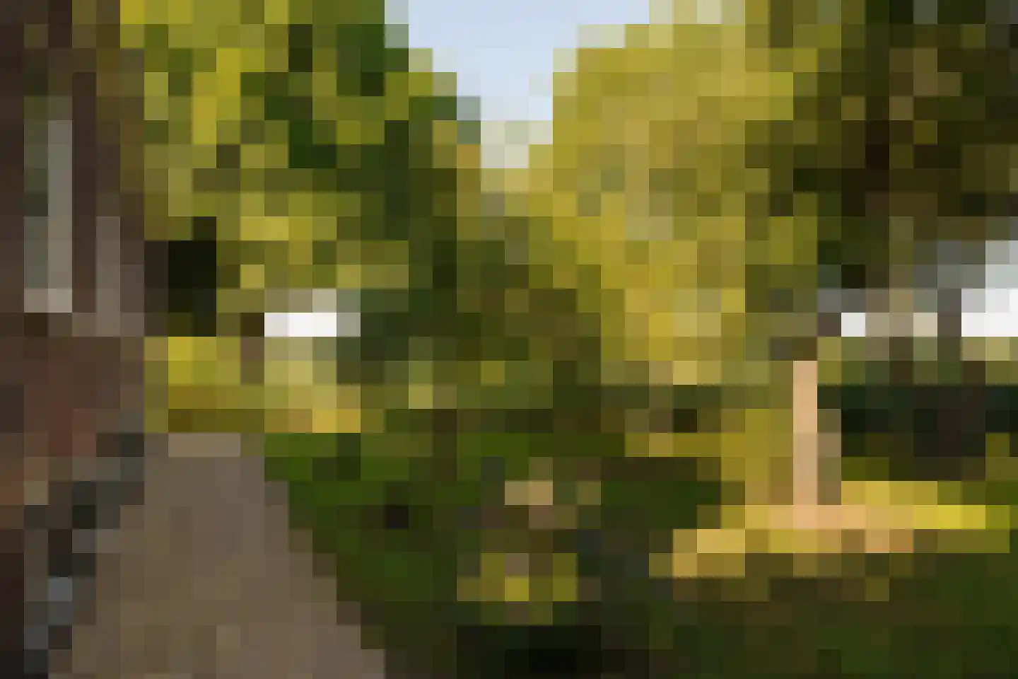 Dammerweg 10 Weesp thumbnail 49