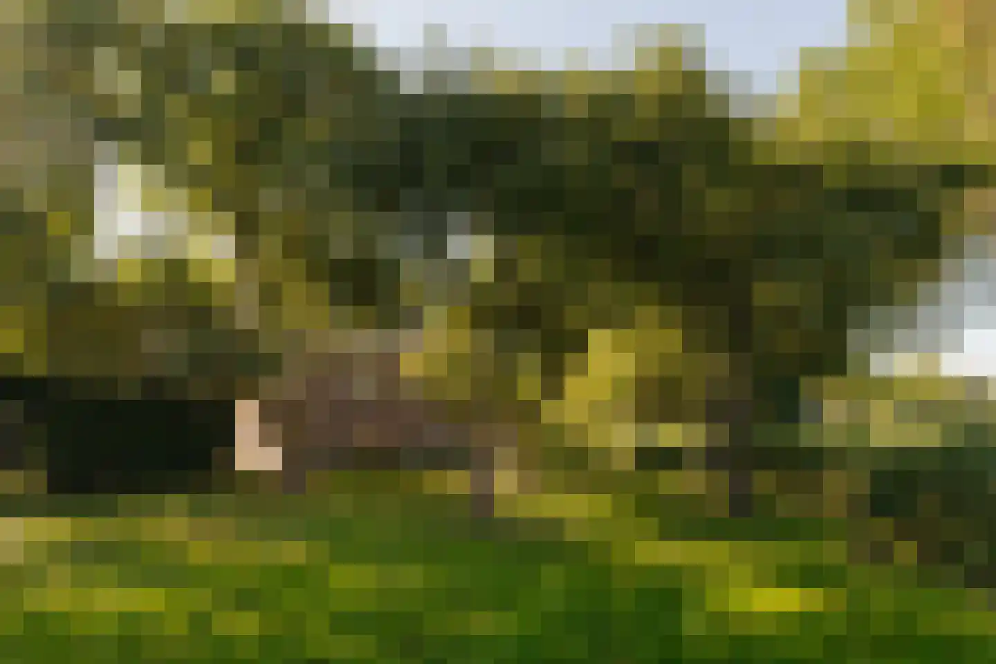Dammerweg 10 Weesp thumbnail 50