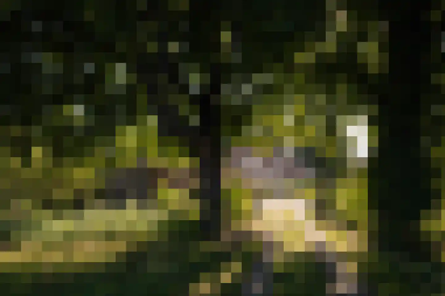 Dammerweg 10 Weesp thumbnail 6