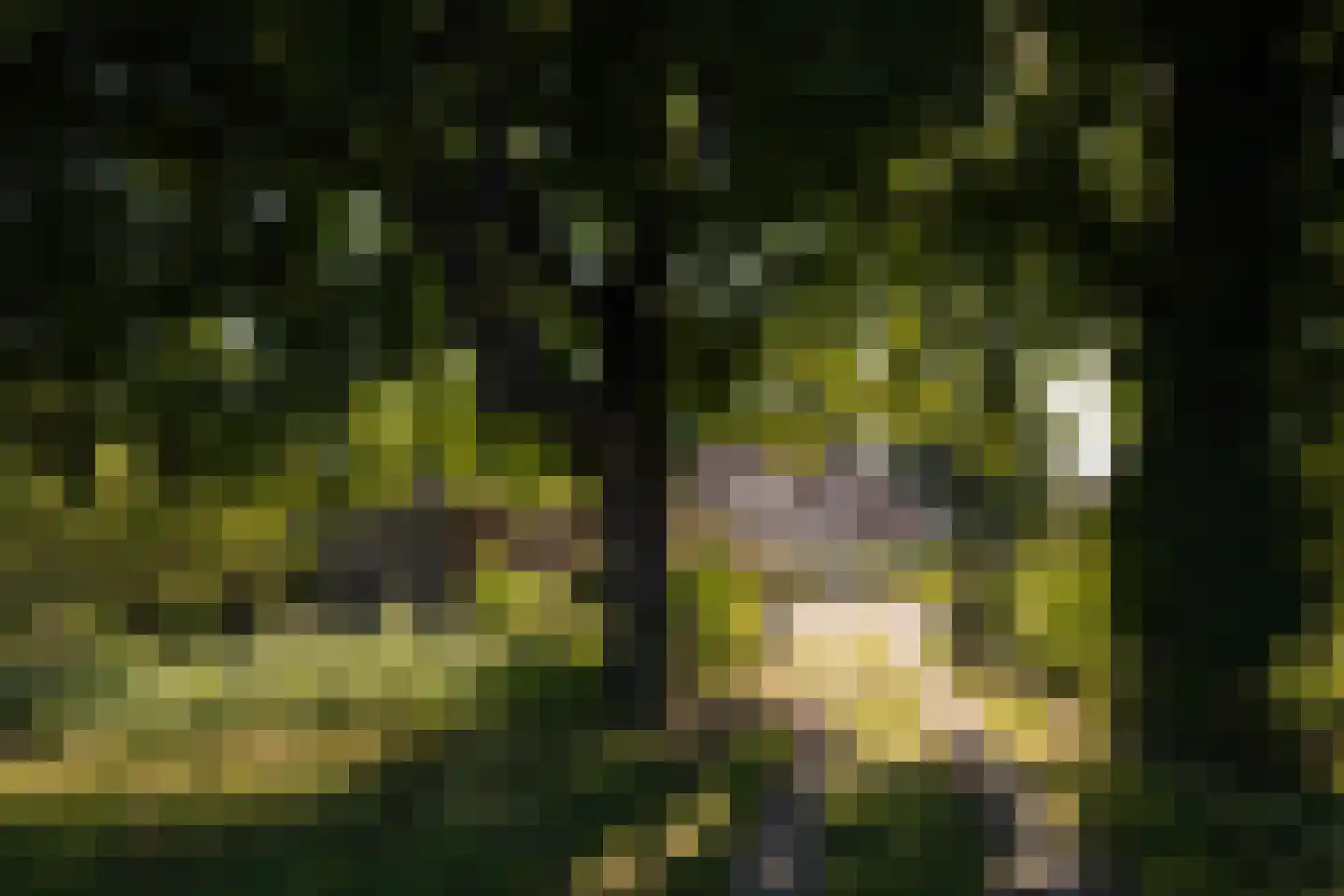 Dammerweg 10 Weesp thumbnail 8