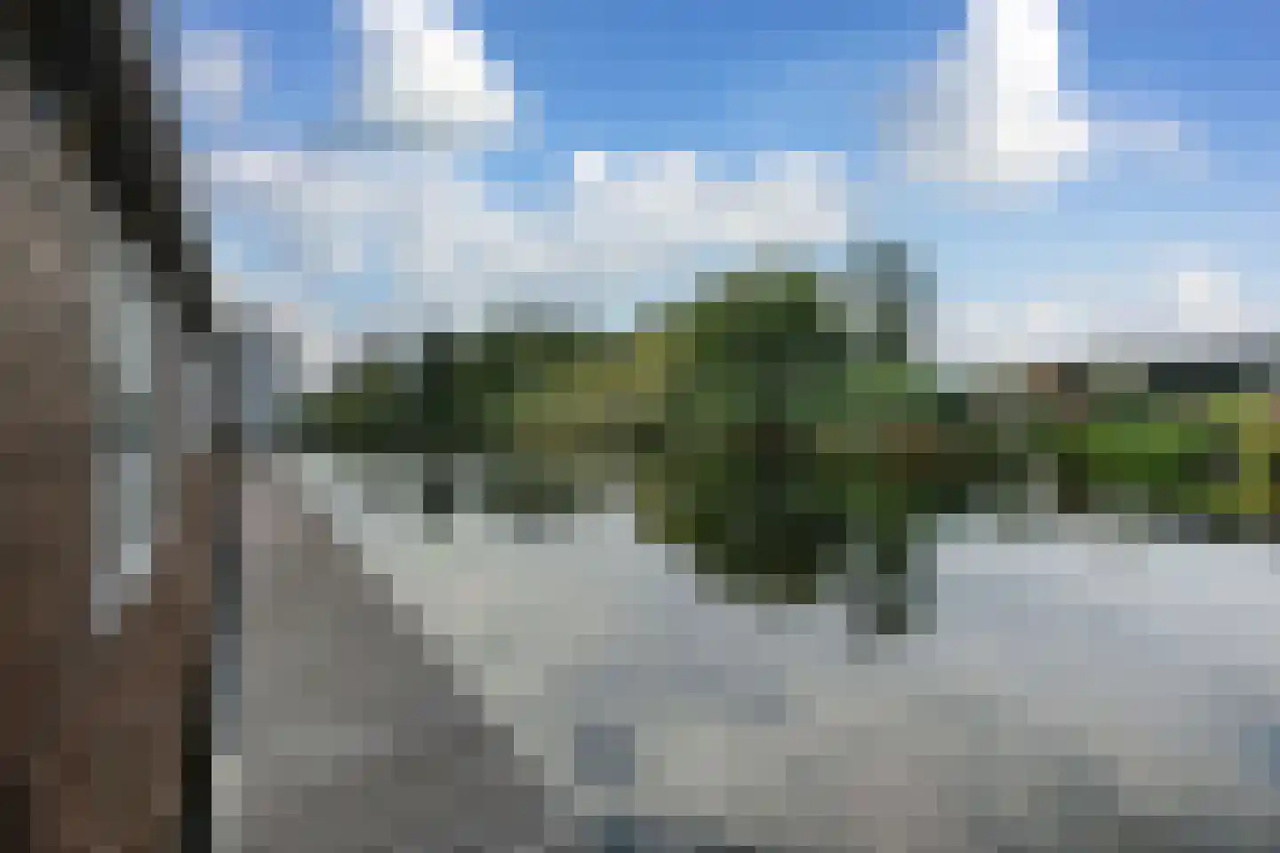 Dammerweg 100 ws02 Nederhorst den Berg thumbnail 18
