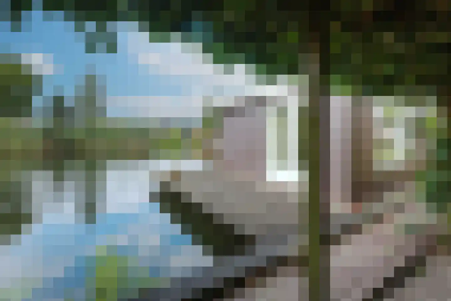 Dammerweg 100 ws02 Nederhorst den Berg thumbnail 25