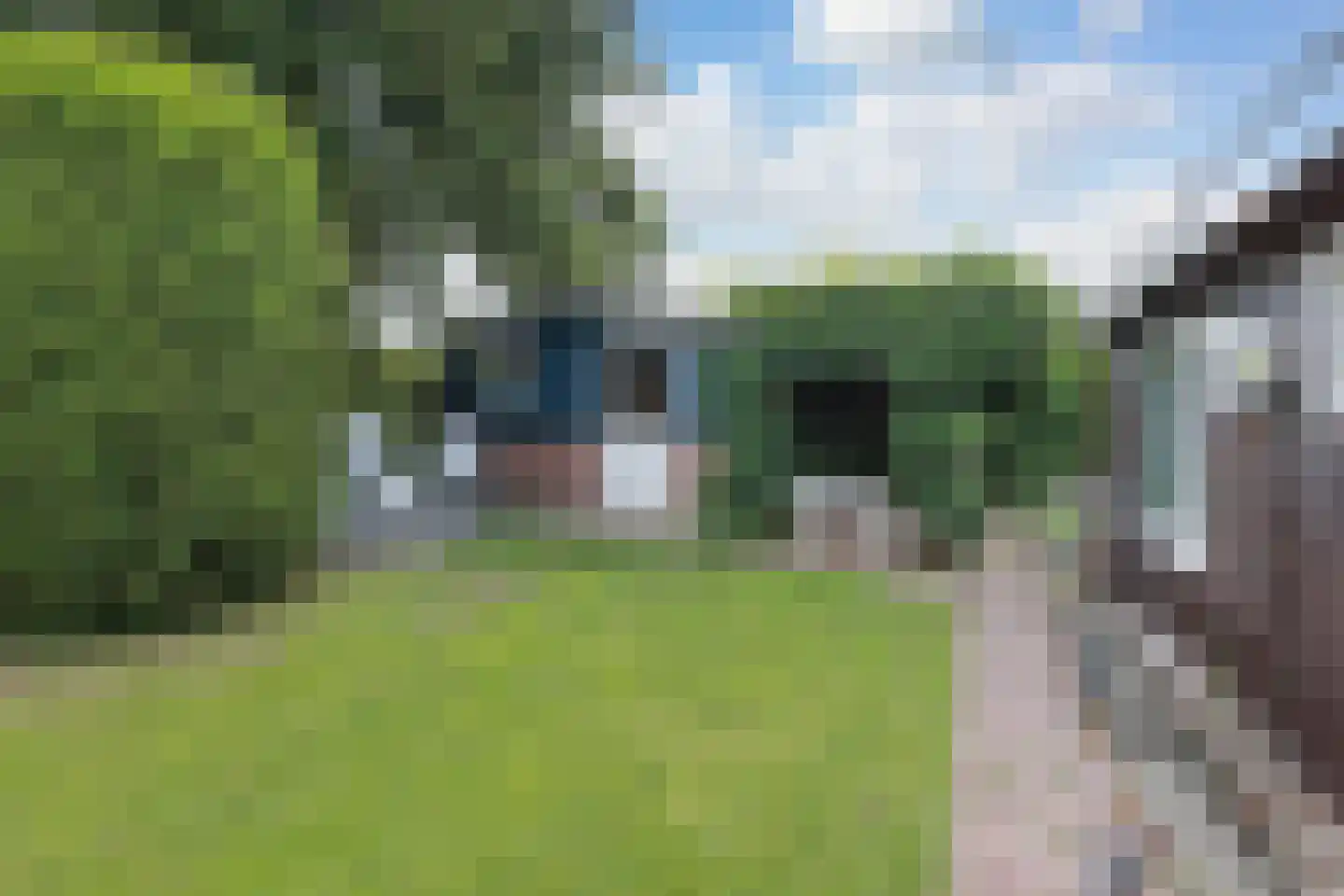 Dammerweg 100 ws02 Nederhorst den Berg thumbnail 30