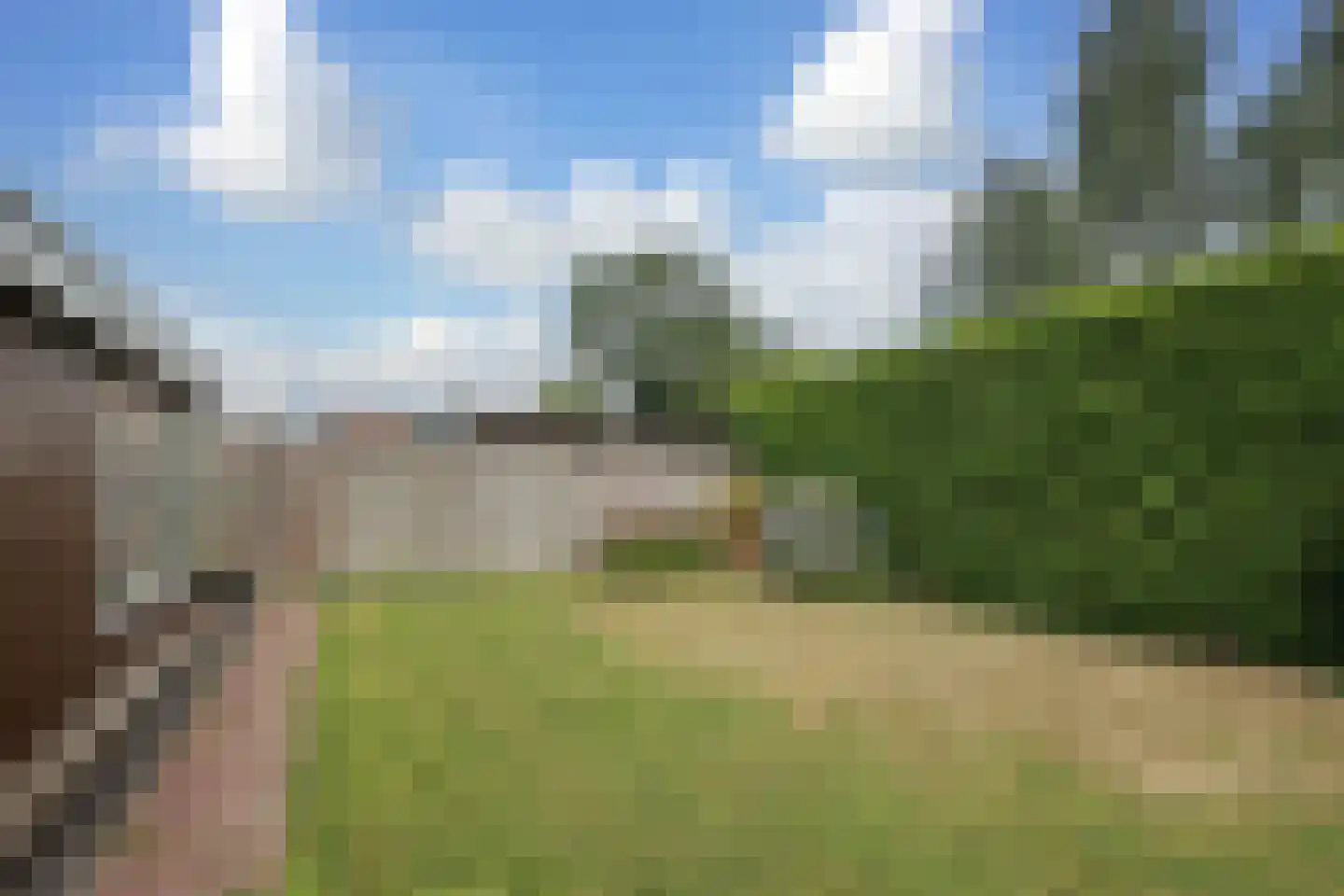 Dammerweg 100 ws02 Nederhorst den Berg thumbnail 31