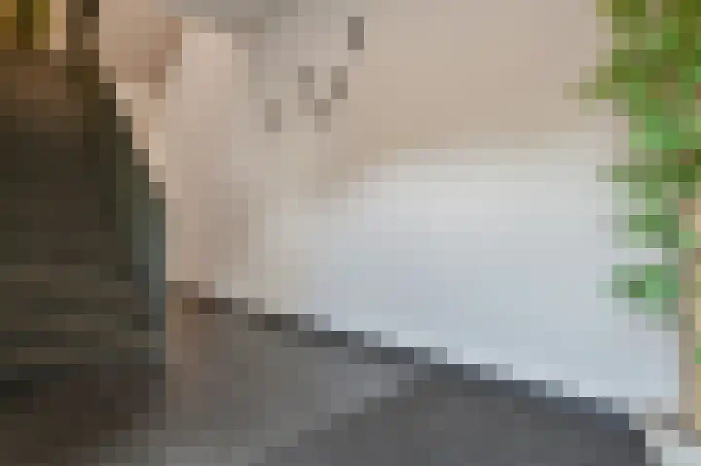 Dammerweg 2 e Nederhorst den Berg thumbnail 20