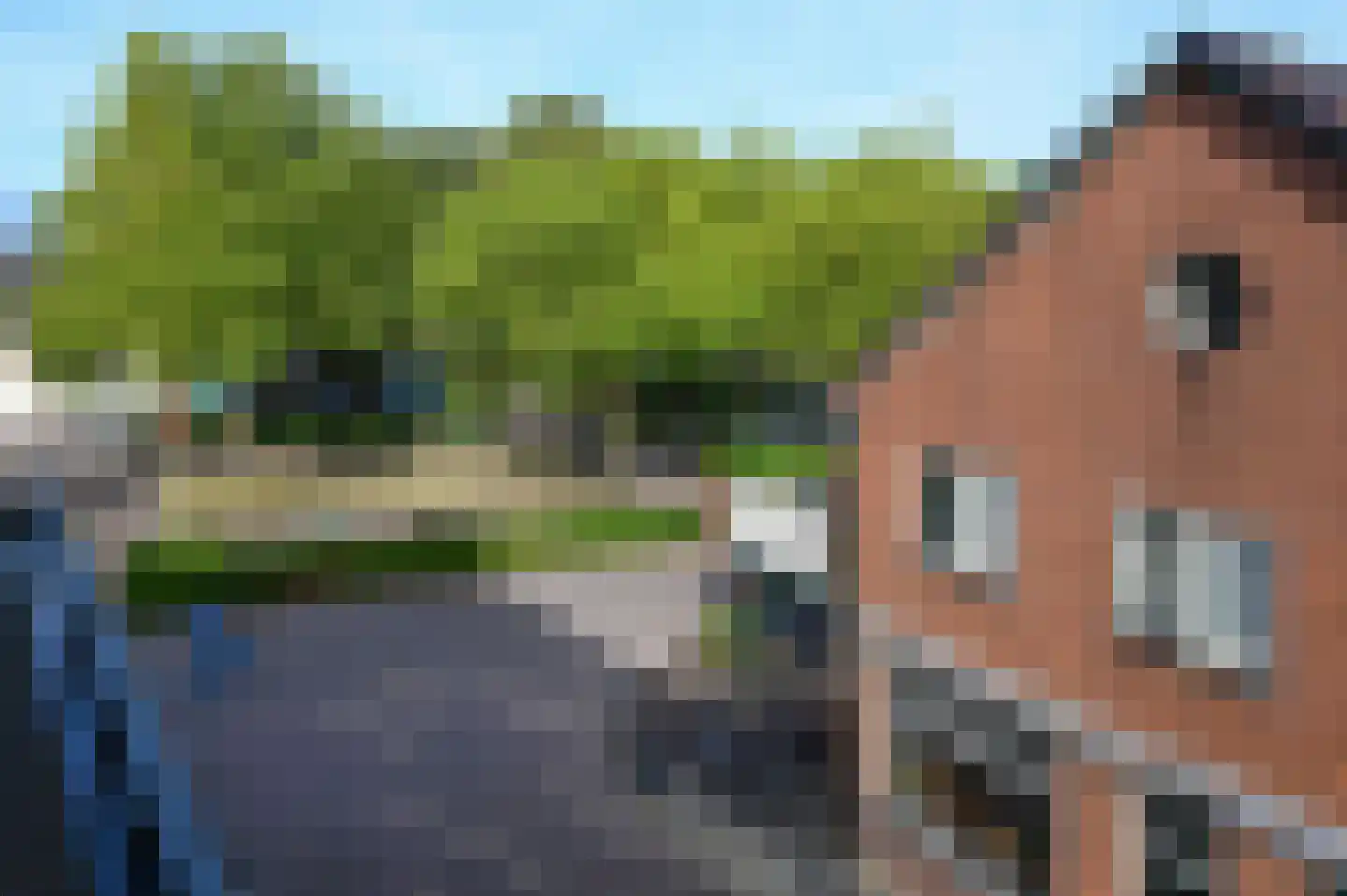 Dammerweg 2 e Nederhorst den Berg thumbnail 6