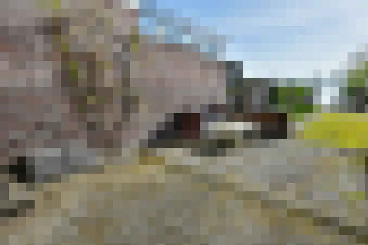 Dammerweg 55 Nederhorst den Berg thumbnail 23