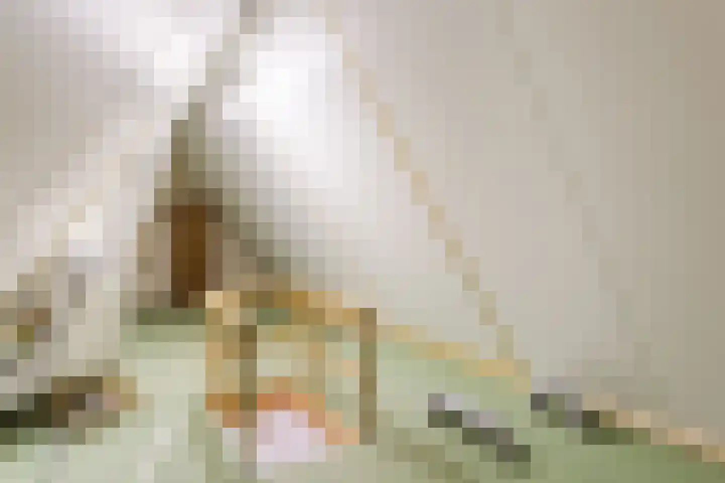Dammerweg 64 Nederhorst den Berg thumbnail 49
