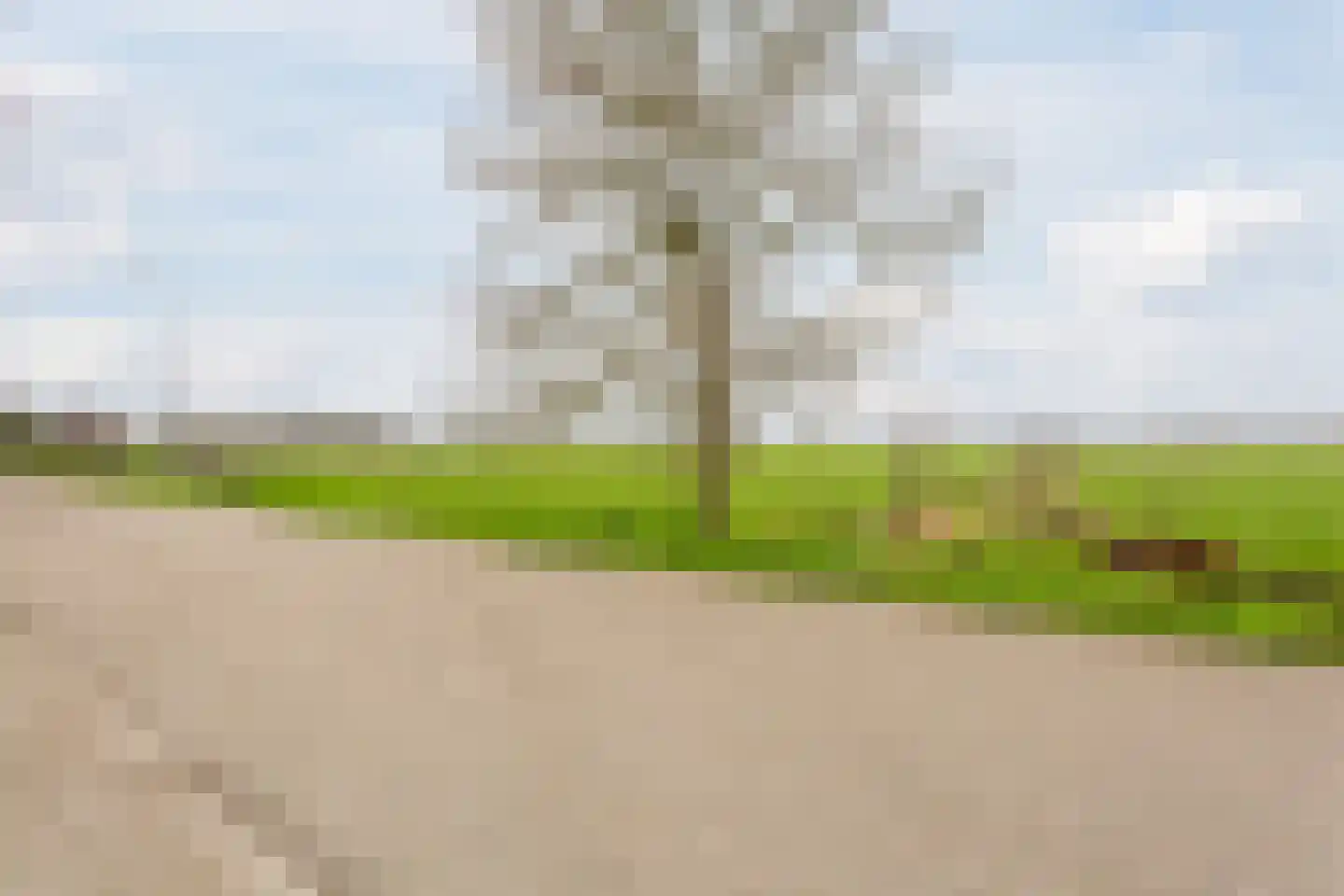 Dammerweg 64 Nederhorst den Berg thumbnail 54
