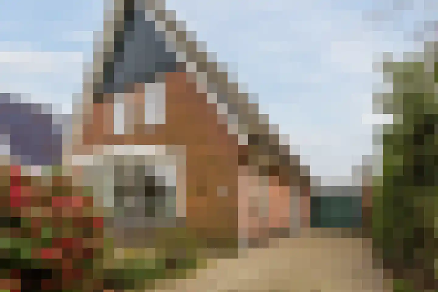 Dammerweg 64 Nederhorst den Berg thumbnail 6