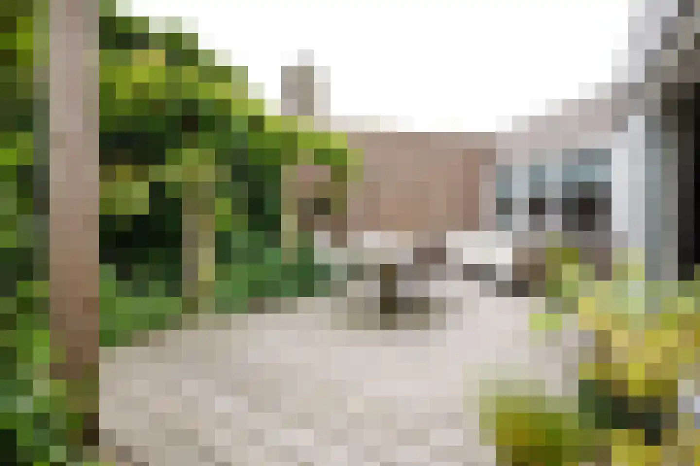 Dammolen 108 Harmelen thumbnail 23