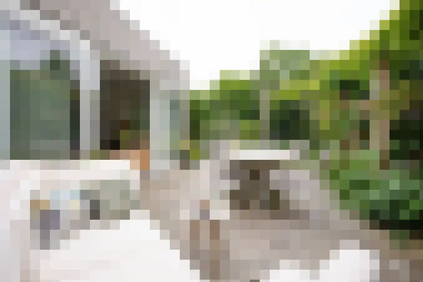 Dammolen 108 Harmelen thumbnail 24