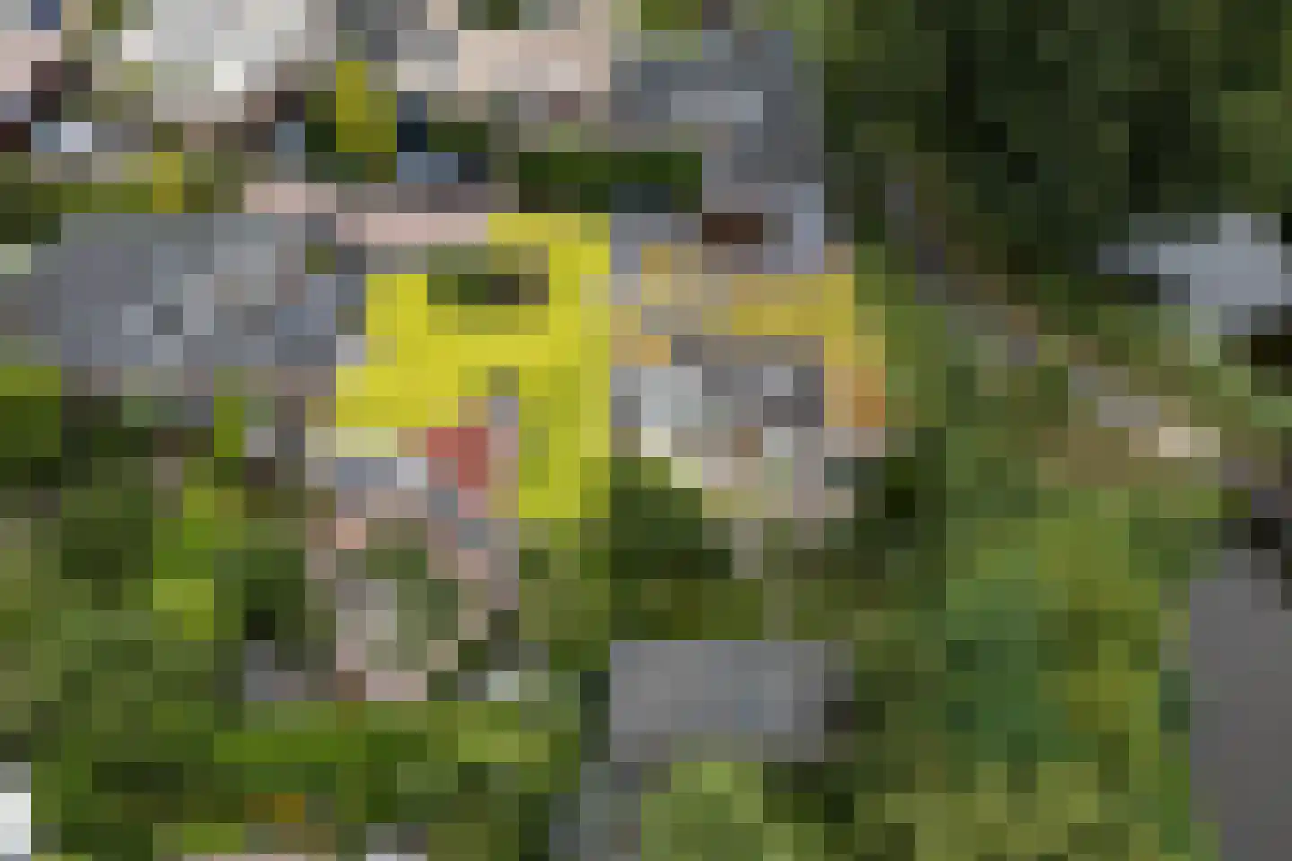 Dammolen 108 Harmelen thumbnail 30