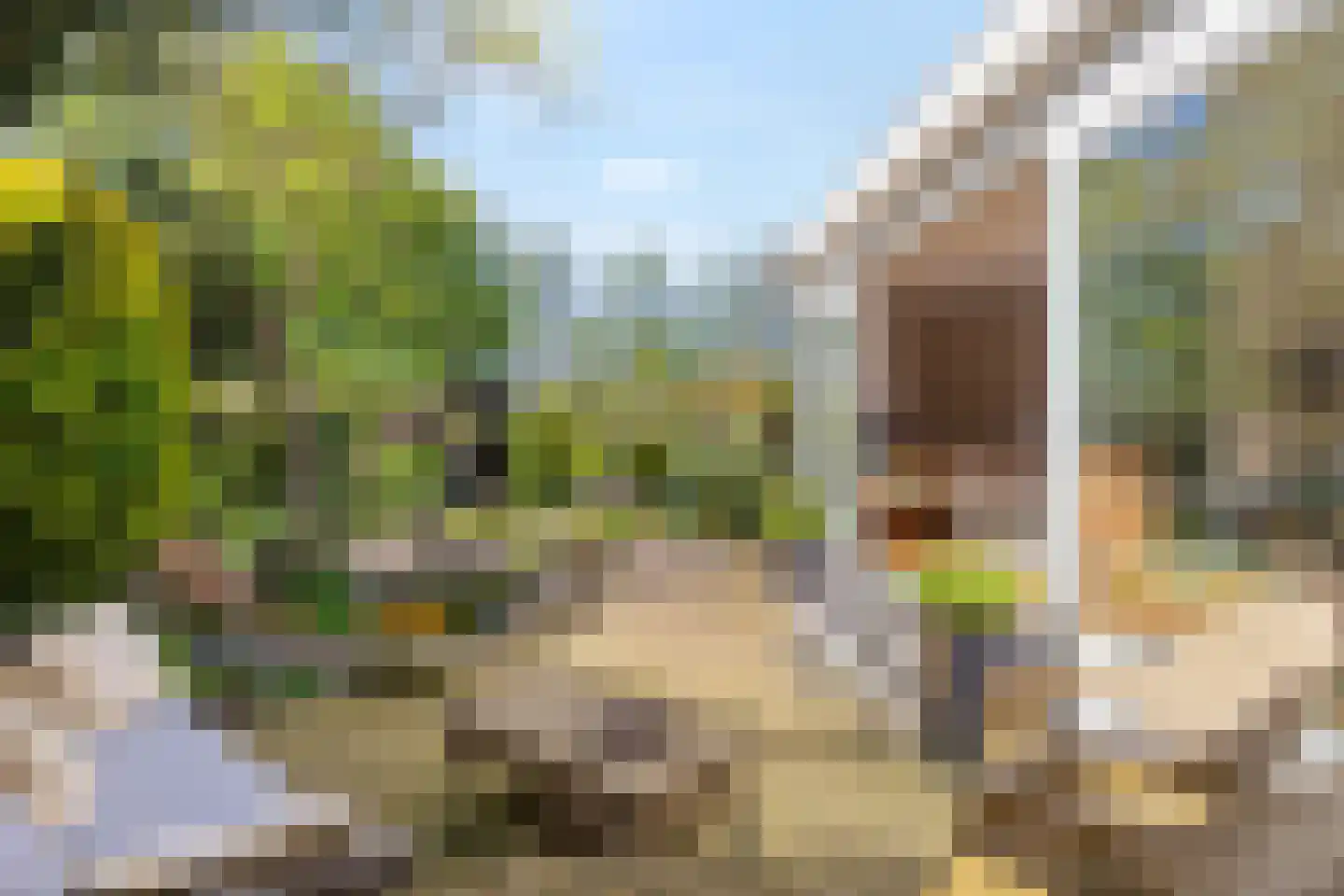 Dammolen 112 Harmelen thumbnail 31