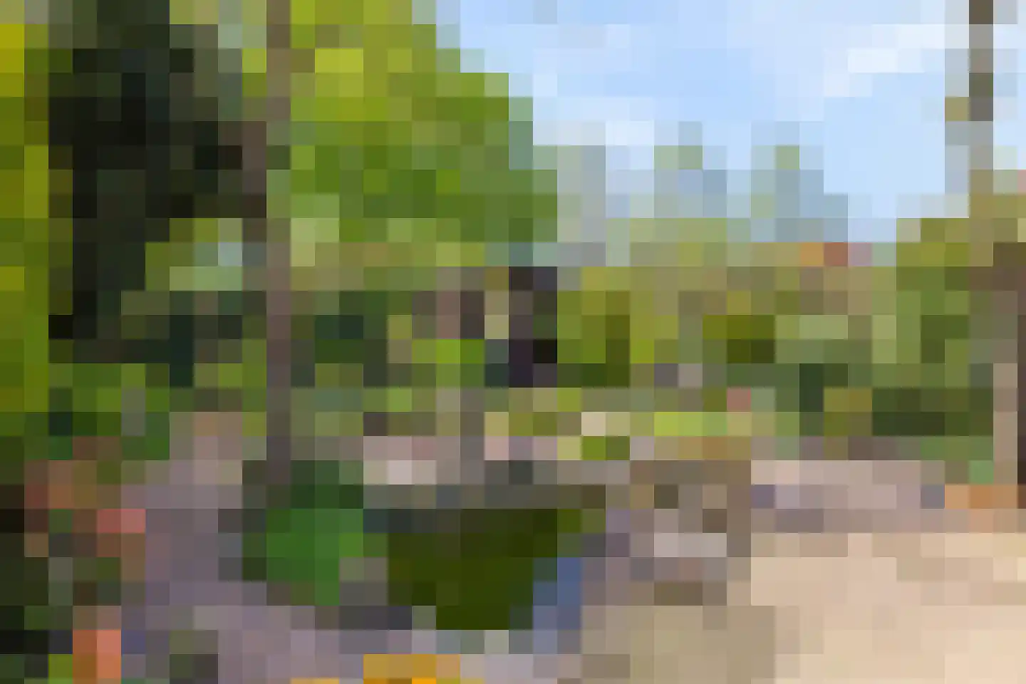 Dammolen 112 Harmelen thumbnail 32
