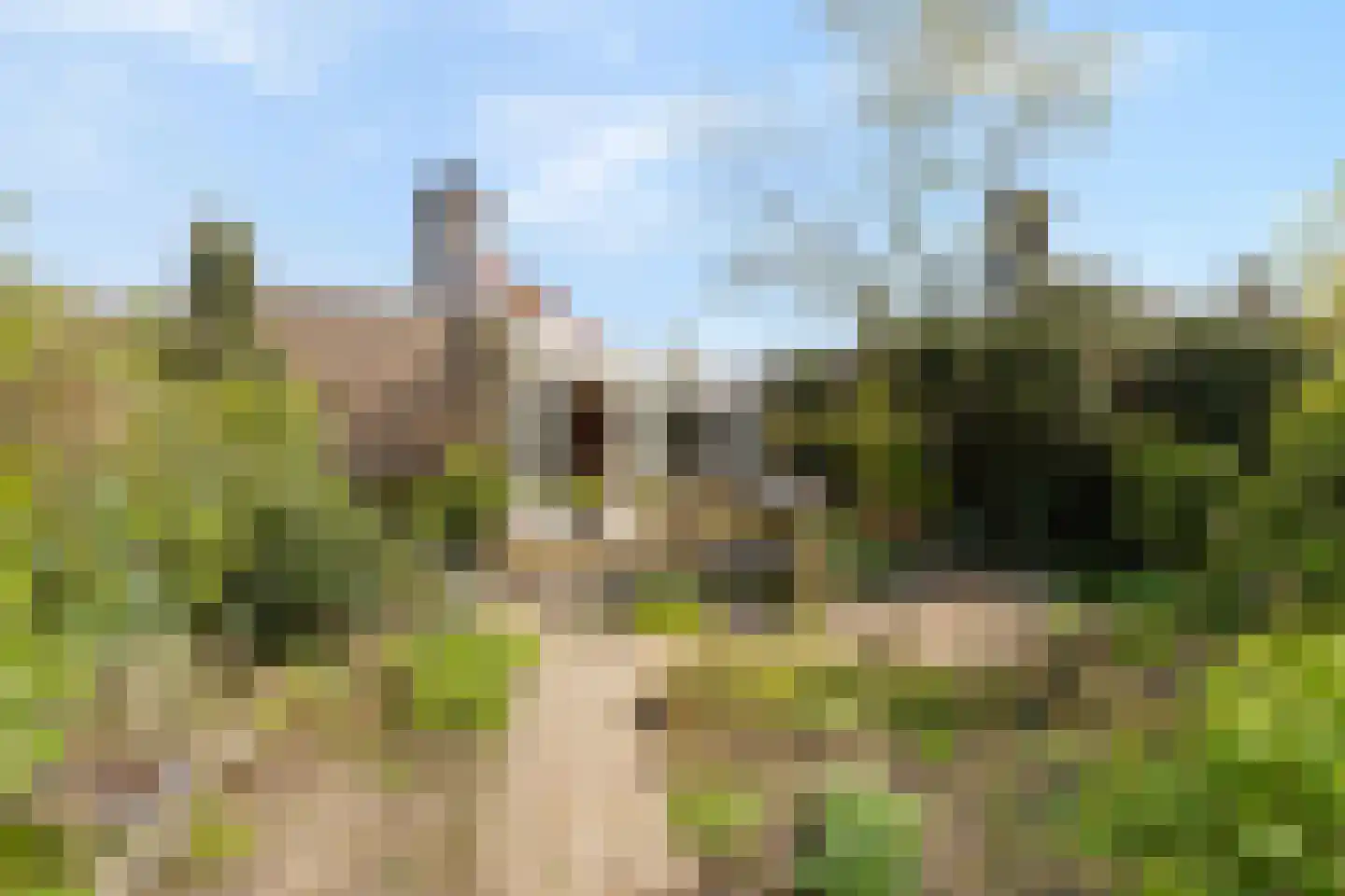 Dammolen 112 Harmelen thumbnail 33