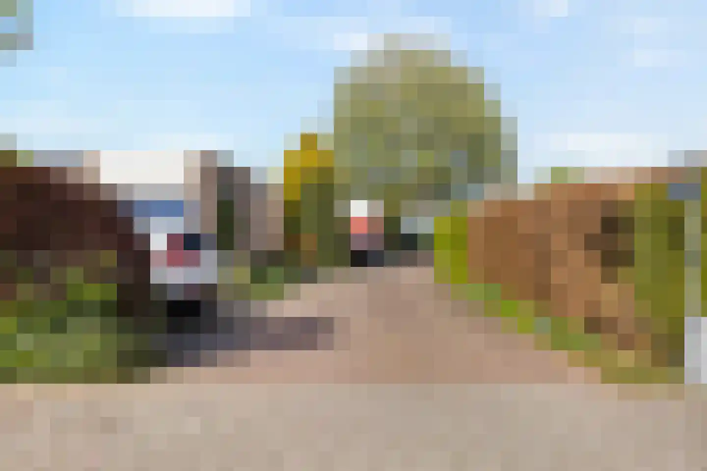 Dammolen 112 Harmelen thumbnail 37