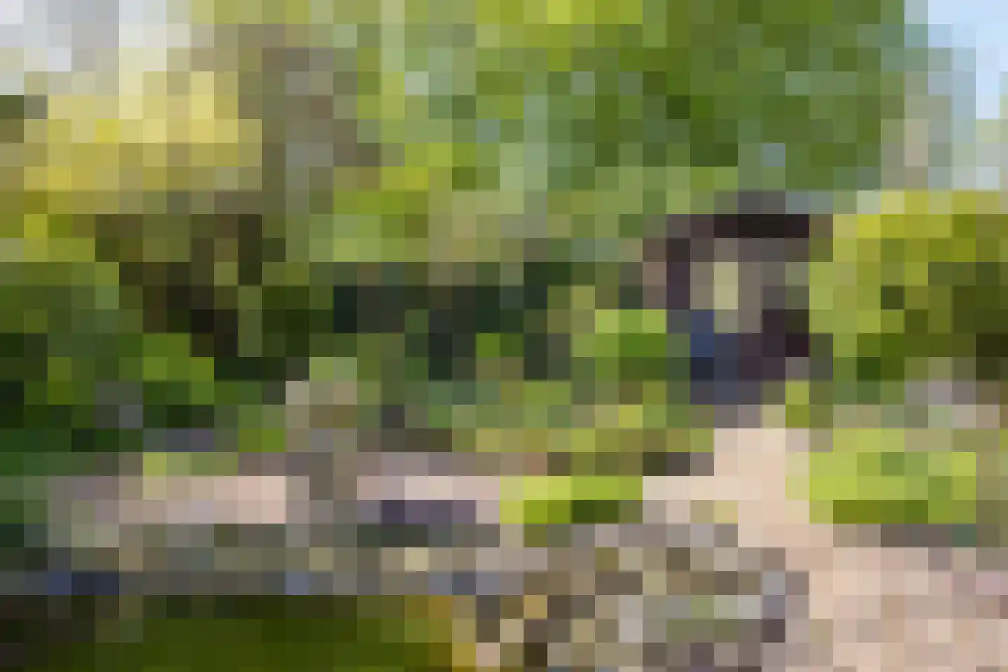 Dammolen 112 Harmelen thumbnail 4