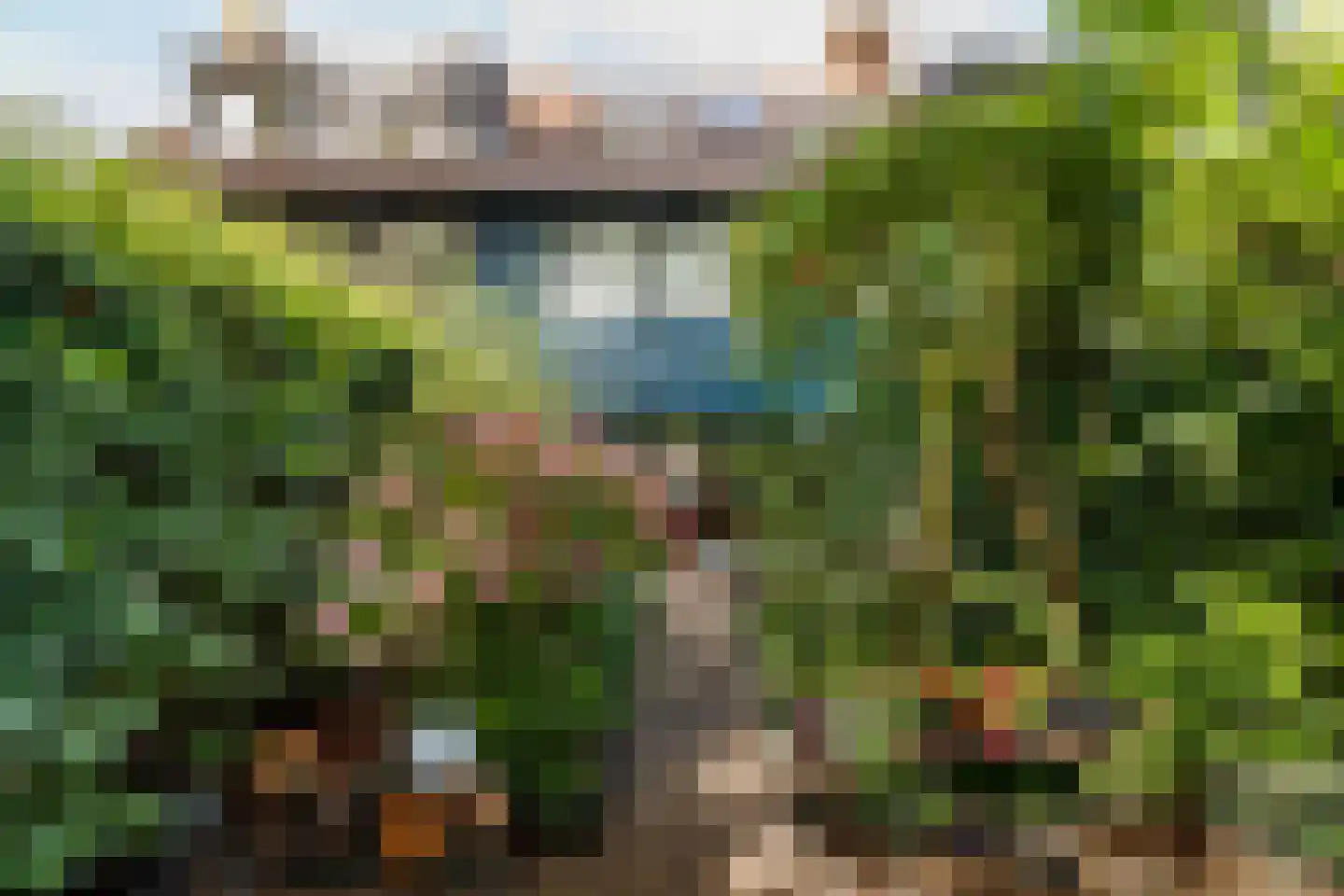 Dammolen 120 Harmelen thumbnail 23
