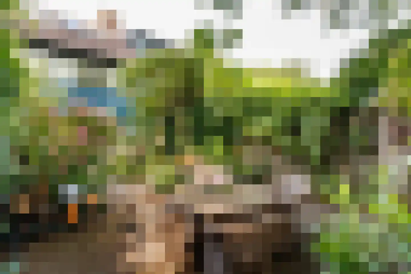 Dammolen 120 Harmelen thumbnail 24