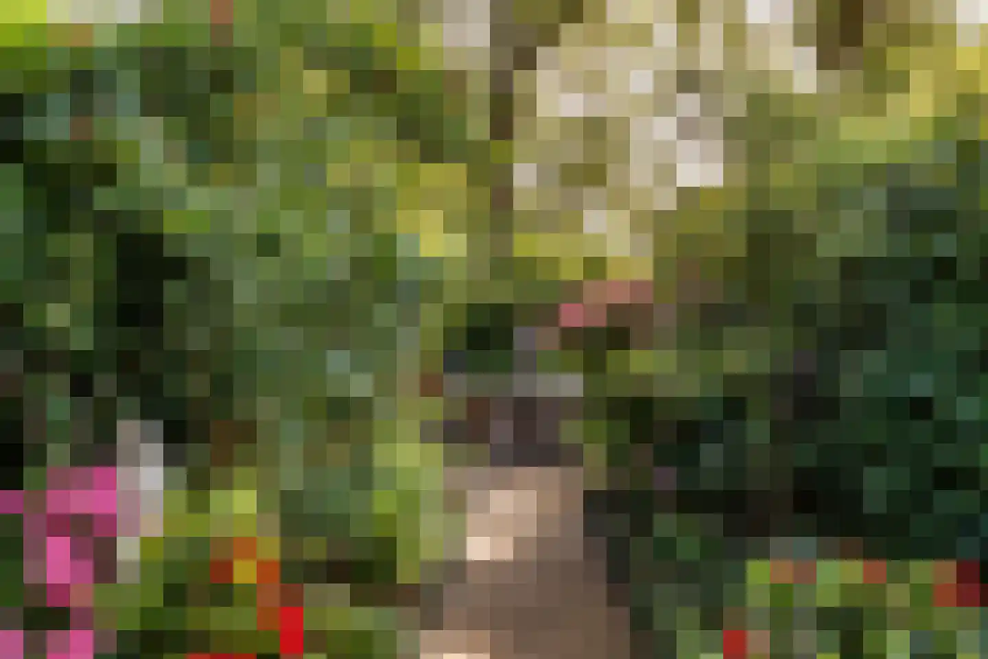 Dammolen 120 Harmelen thumbnail 27