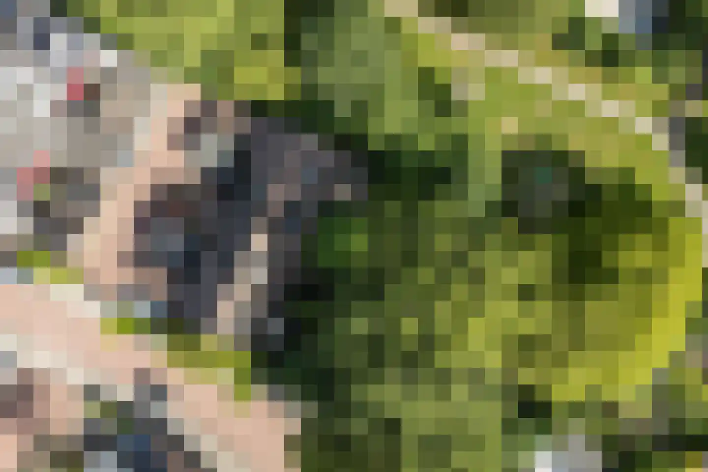 Dammolen 120 Harmelen thumbnail 30