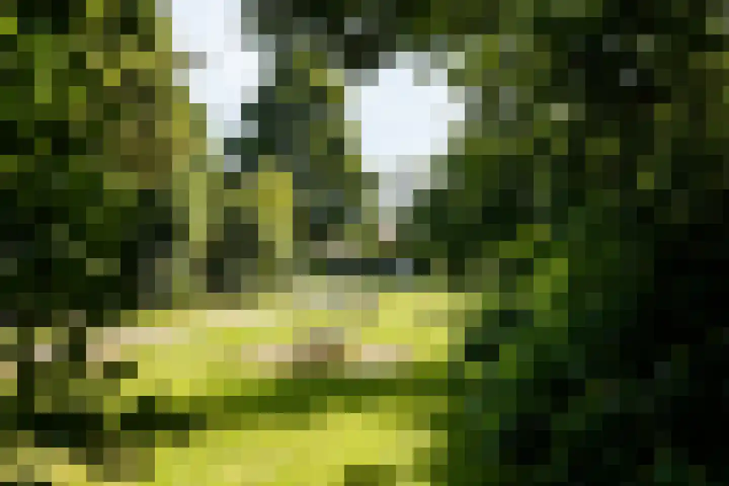Dammolen 120 Harmelen thumbnail 31