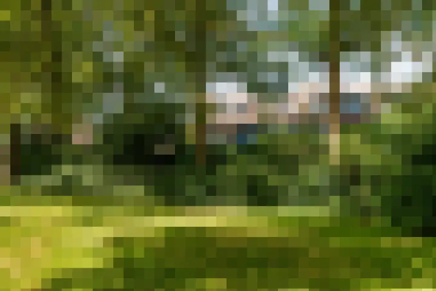 Dammolen 120 Harmelen thumbnail 32