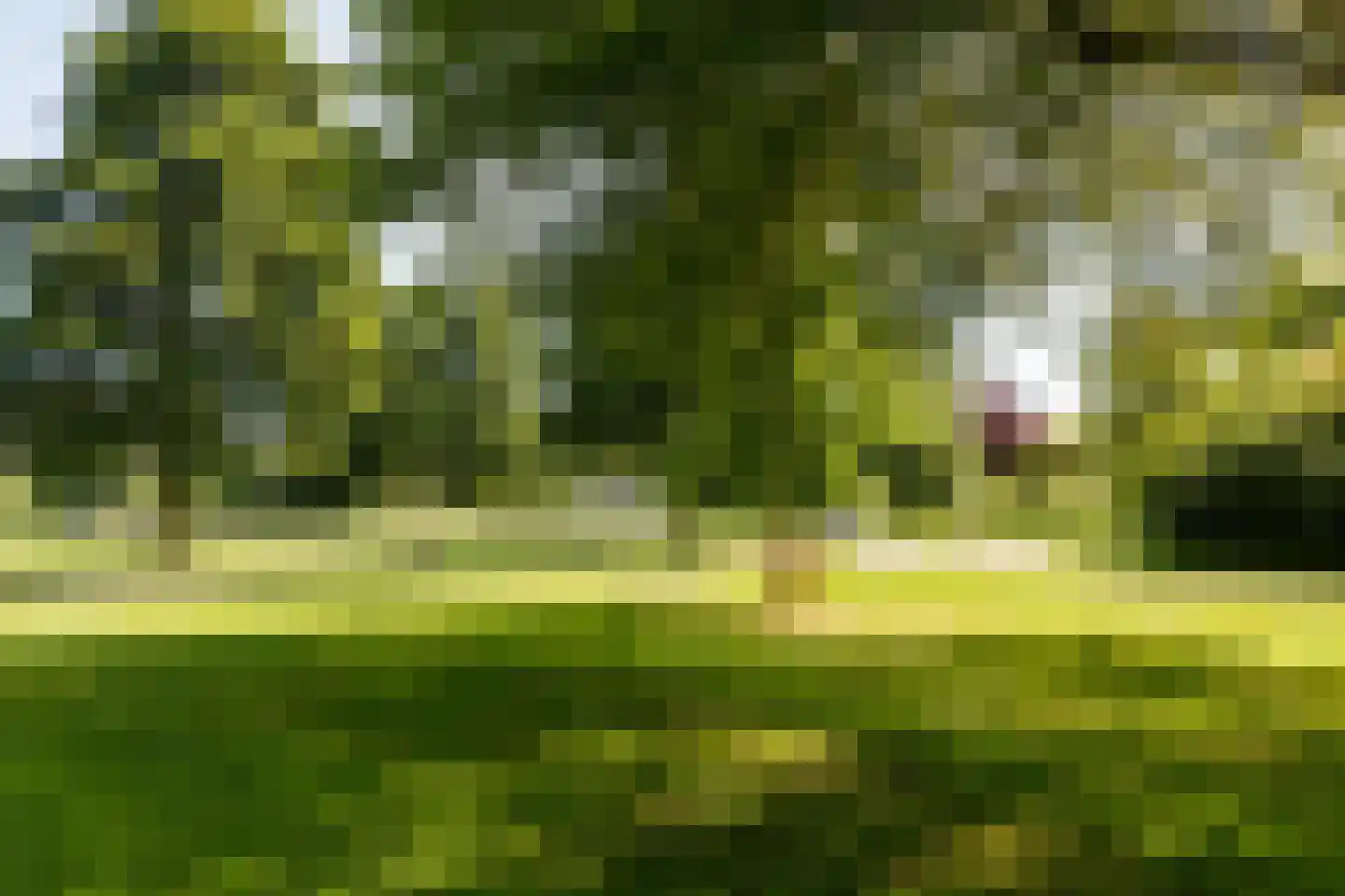 Dammolen 120 Harmelen thumbnail 33