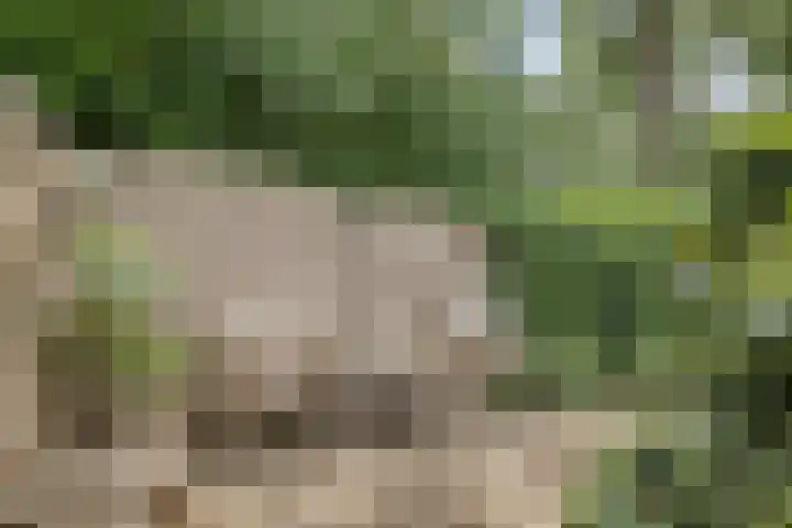 Dammolen 124 Harmelen thumbnail 32